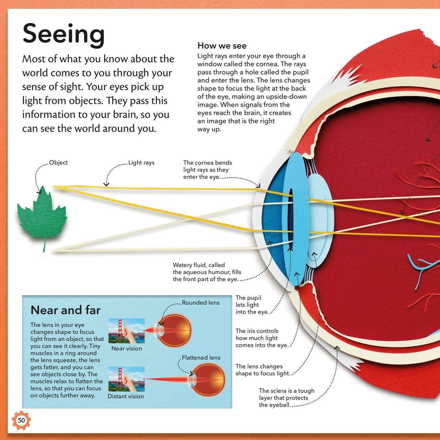 My Amazing Body Machine – Signed Book