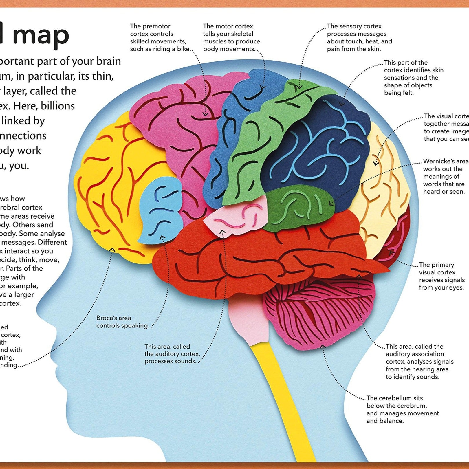 My Amazing Body Machine – Signed Book