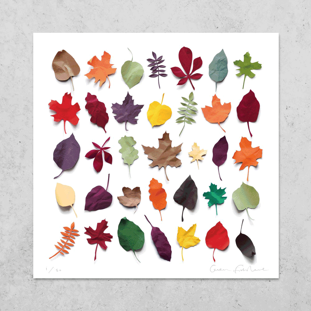 Limited Edition Signed Indigo Prints