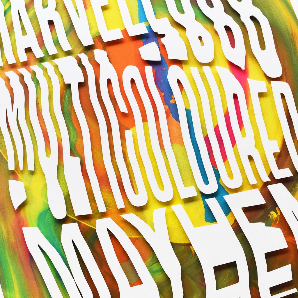 Like No Other — 'Marvellous Multicoloured Mayhem' Framed Original Artwork